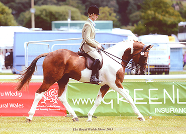 the-royal-welsh-show-2015