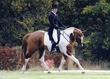 aldon-cci