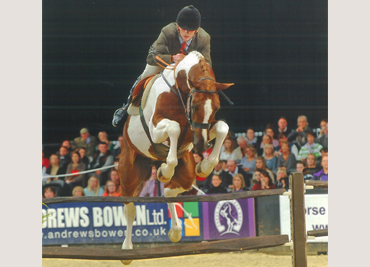 horse-of-the-year-show-2014