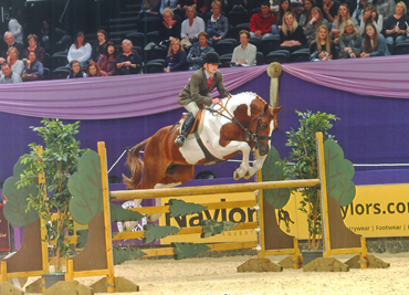 horse-of-the-year-show-2014