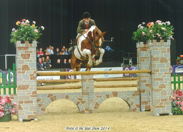 horse-of-the-year-show-2014
