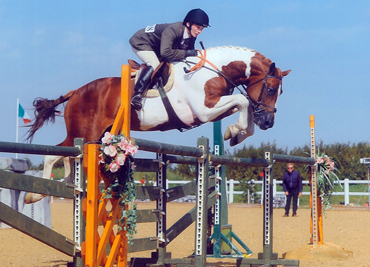 brechfa-brynach-supreme-national-hunter-show