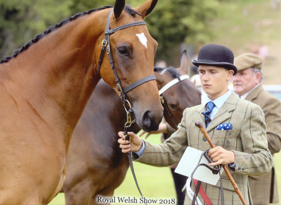 brechfa-berwyn