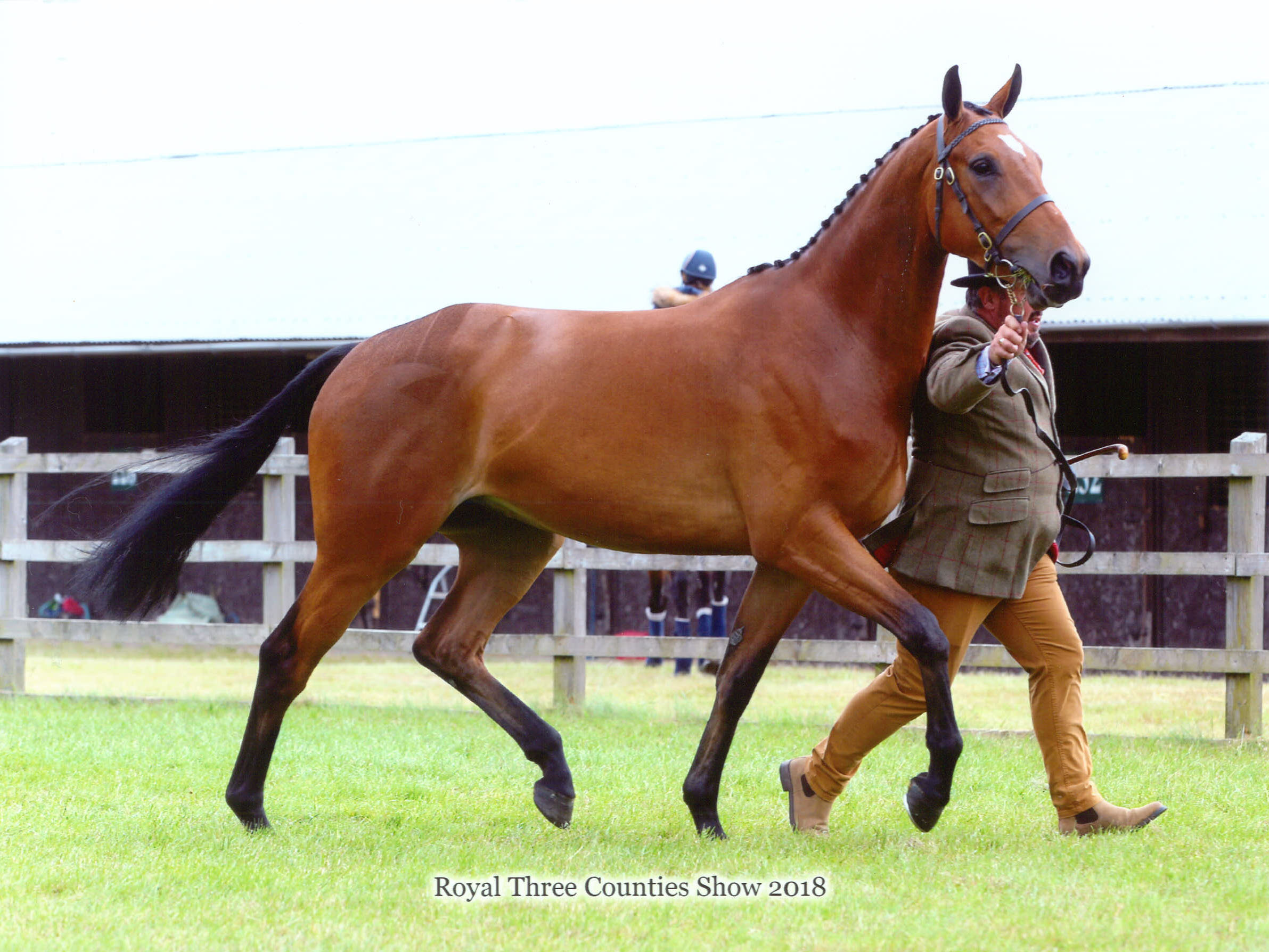 brechfa-berwyn