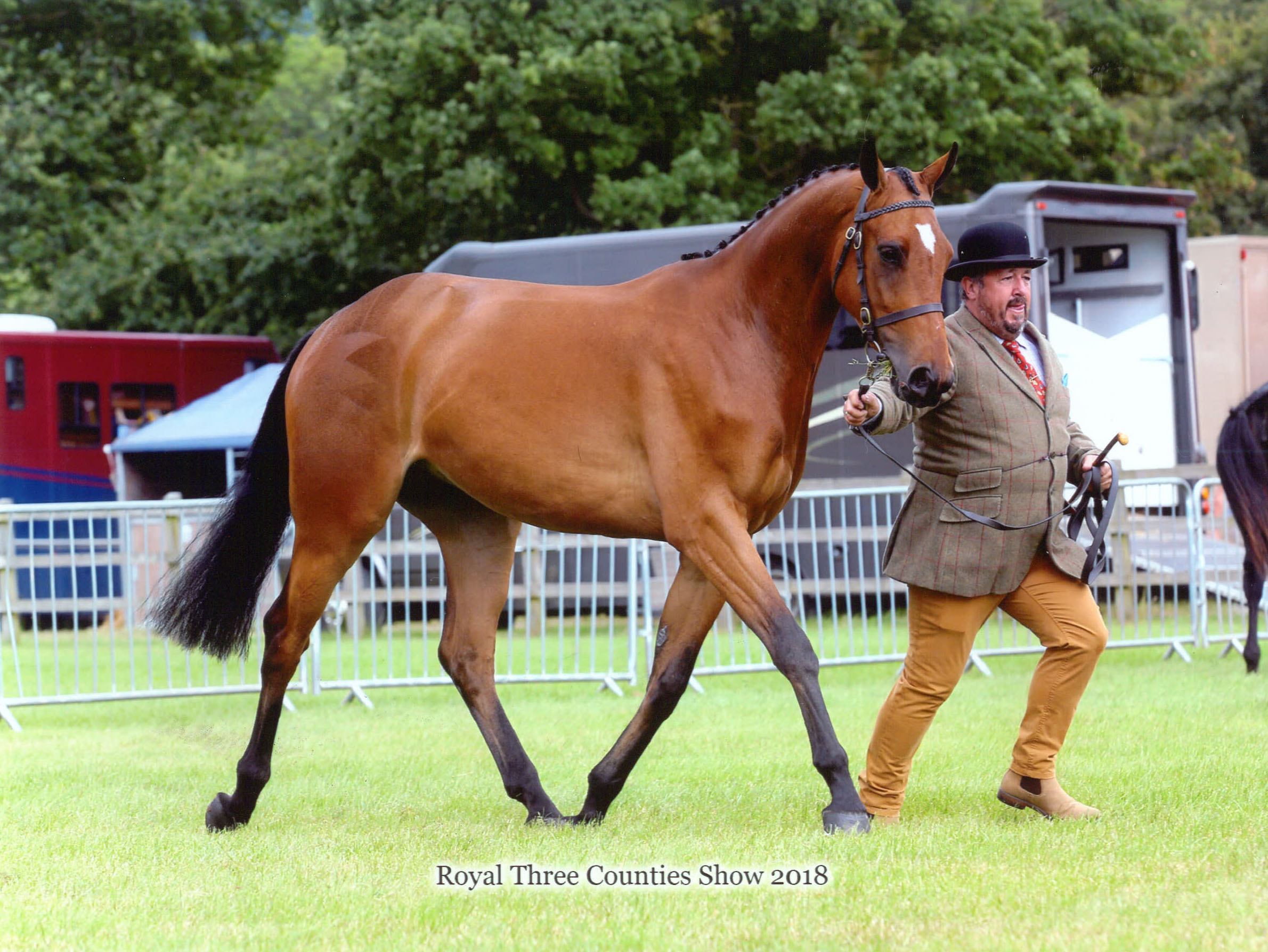 brechfa-berwyn