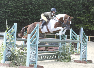 2016-bsha-championship-show