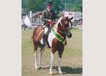 royal-welsh-2014