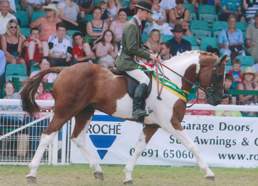 royal-welsh-2014