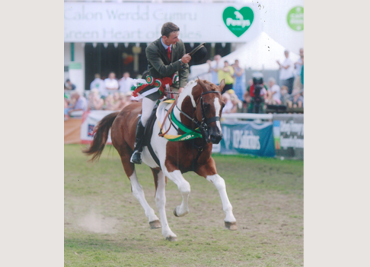 royal-welsh-2014