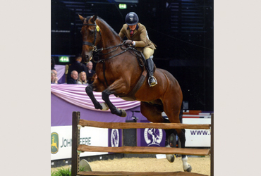 horse-of-the-year-show-2016