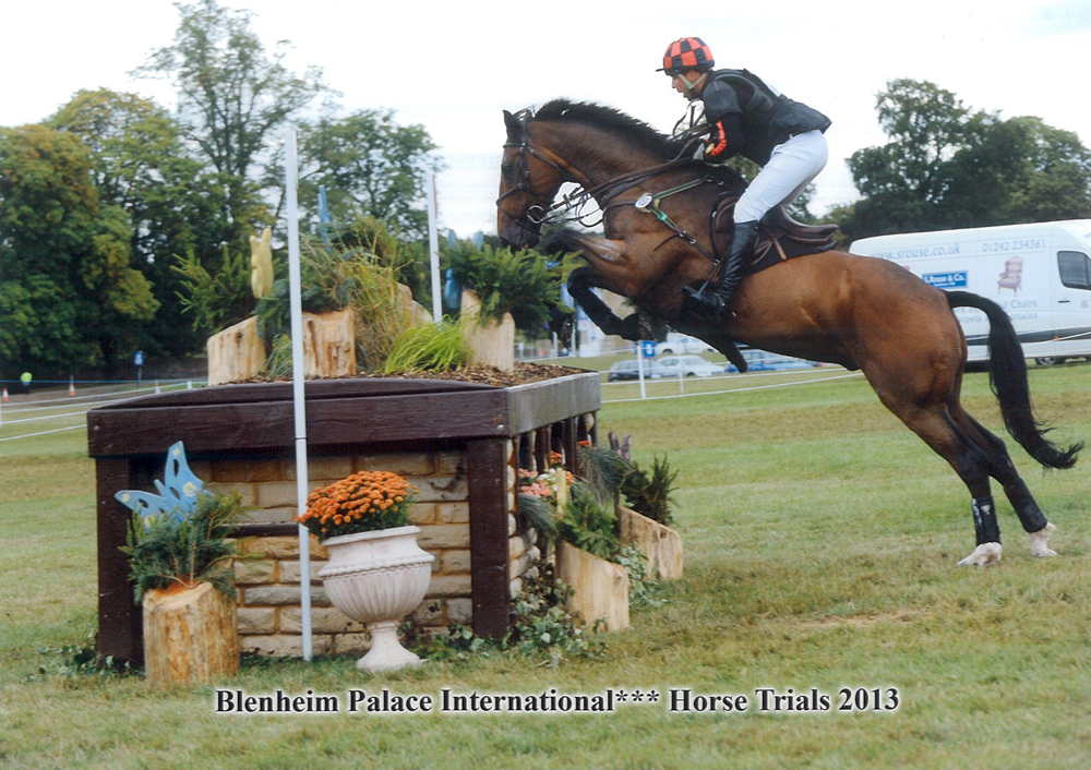 blenheim-palace-international-cic