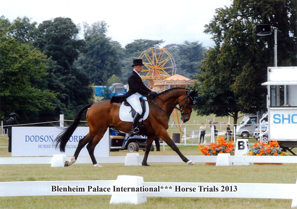 blenheim-palace-international-cic
