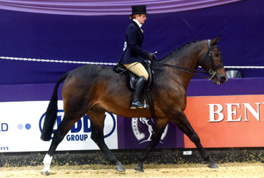 horse-of-the-year-show-2016