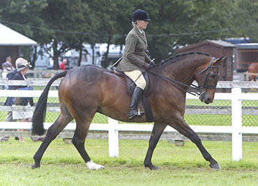 royal-three-countries-show-2016