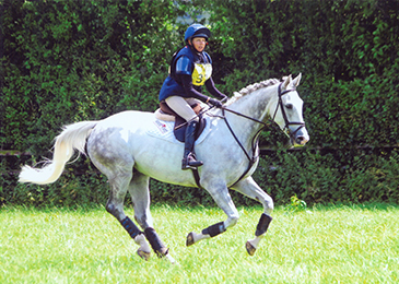 brechfa-hanno