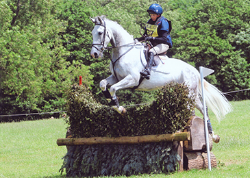 brechfa-hanno